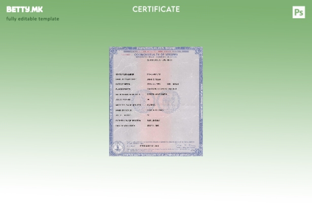 Модерен стил шаблон за извод од матичната книга на родените Вирџинија на САД